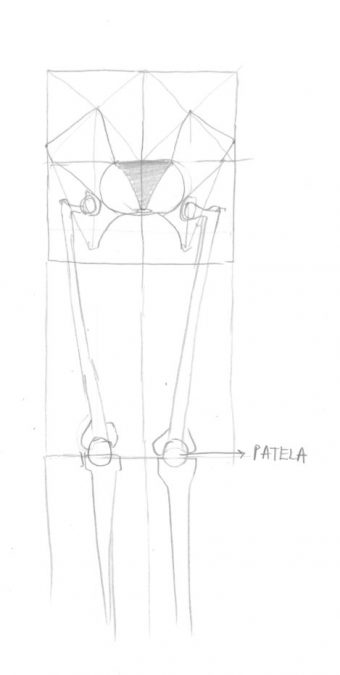 Šest zakona Si Hoa ili kako nacrtati nogu (osmi dio)