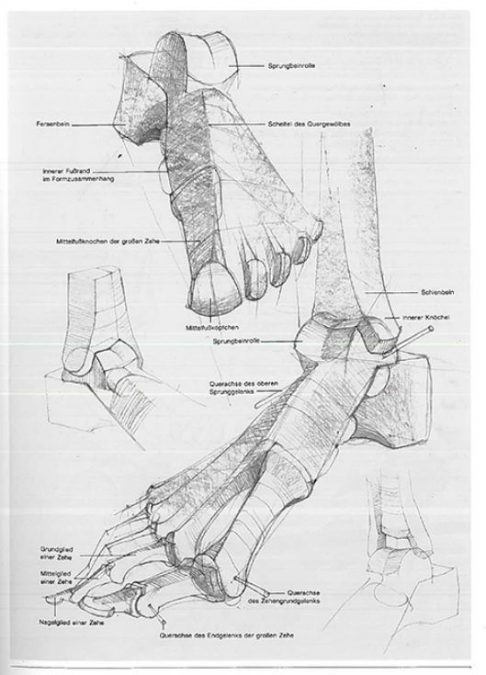 Kako nacrtati stopalo (peti dio)